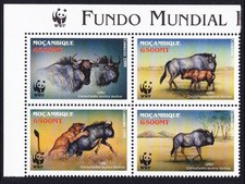 Mozambique WWF Blue Wildebeest