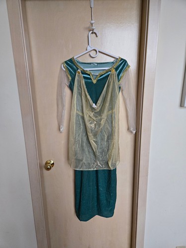 Princess fiona costume - fiona,