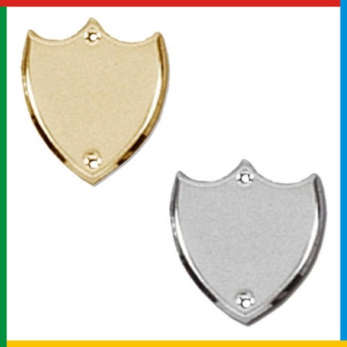 Engraved trophy plaque - trophy,