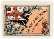 (I.B) Cinderella : Delandre