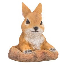 Currious rabbit garden - rabbit,