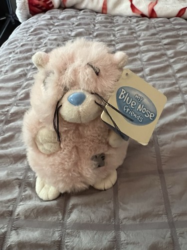 Blue nose friends paws re - paws, (re