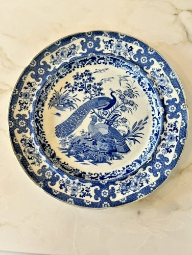 Andrew stevenson peacock - 'peacock', &