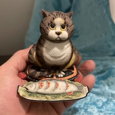 Comic and Curious Cats Fat Cat