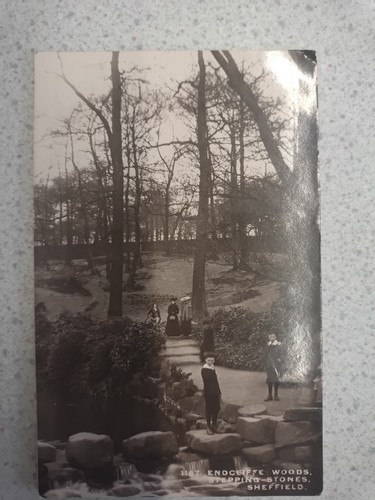 1914 sheffield endcliffe woods - 1914,