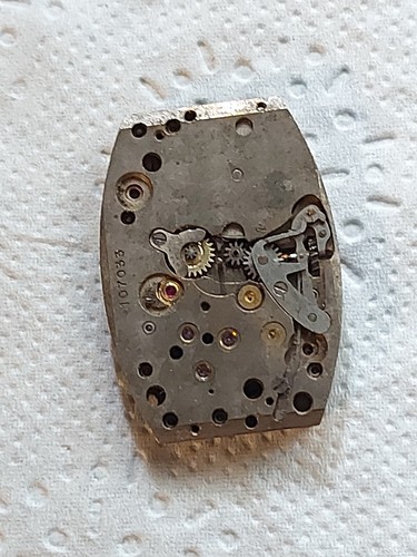 Vintage large cyma - cyma, ref