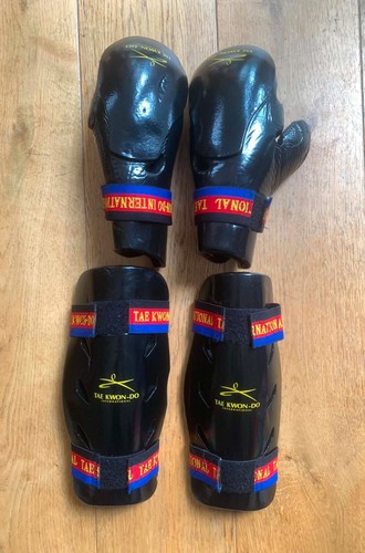 Taekwondo shin pads gloves - taekwondo,