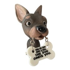 00s Chihuahua Big Head Dog