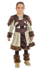Brand New Viking Warrior Fancy