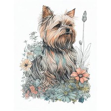 Yorkshire Terrier Dog