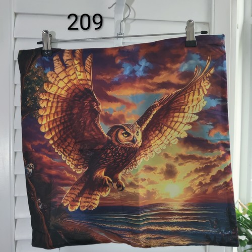 Flying owl sunset soft - flying,