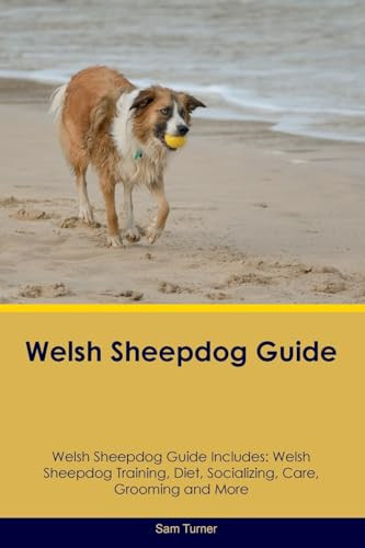 Welsh sheepdog guide - guide,