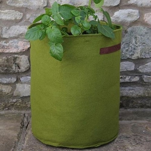 Vigoroot tomato potato planter - tomato,