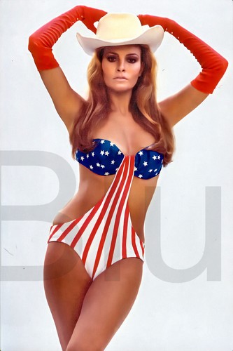 Raquel welch photo - raquel, x
