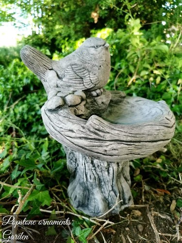 Beautiful bird bath highly - bird,