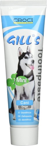 Pet dog toothpaste with mint - pet,