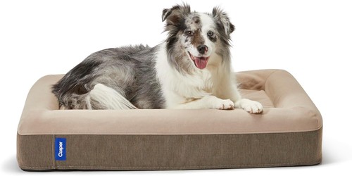 Casper dog bed plush - casper, bed,