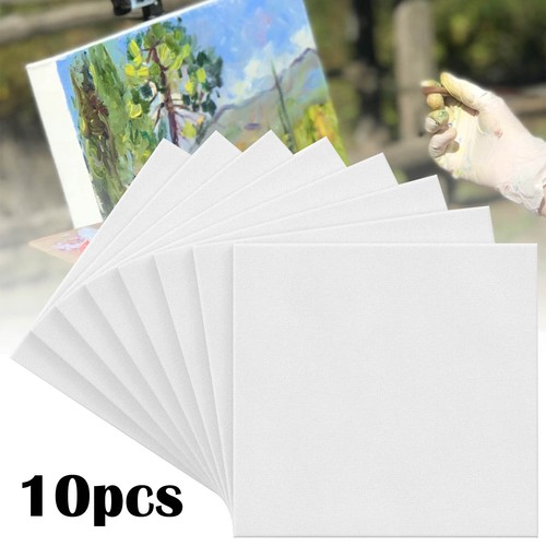 10x blank canvas acrylic - 10x,