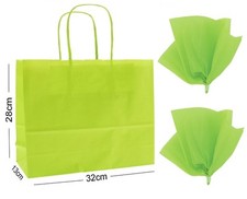 Gift Bags Landscape Large Paper Party Boutique Shop Bag ~ With Tissue Wrap