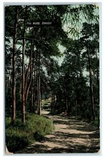 Postcard Clevedon Somerset Pine Woods 