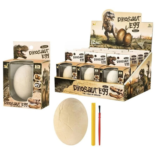 Paleontology excavation - paleontology,