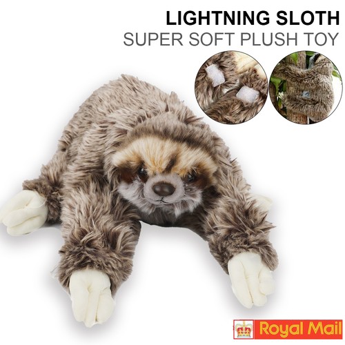 Sloth plush animals - sloth,