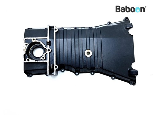 Cam chain cover - cam, rs