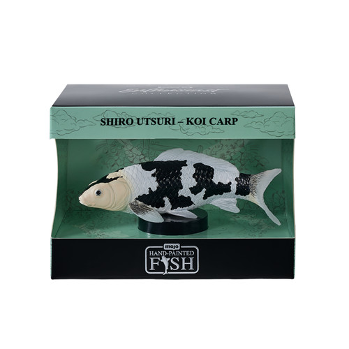 Mojo shiro utsuri koi carp - koi,