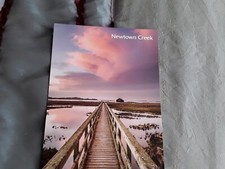 POSTCARD ISLE OF WIGHT NEWTOWN