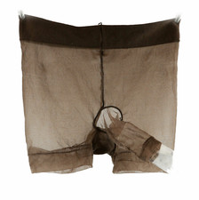 Panties Hide Penis Gaff