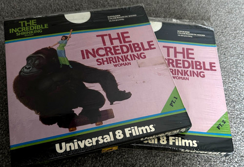 The incredible shrinking woman - the,