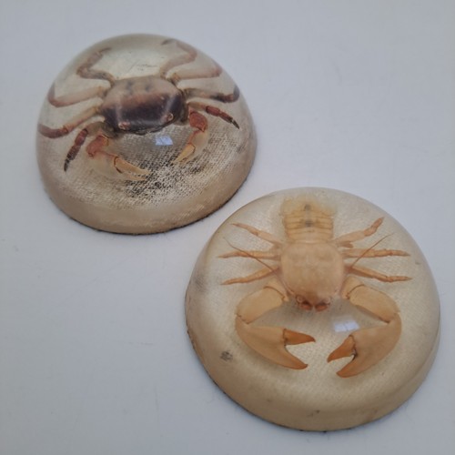 Rare set vintage - vintage, crab