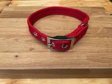 Adjustable Padded Dog Collar With Buckle, Soft, Comfy And Durable. 