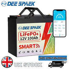 12V 100AH LiFePO4 Lithium Mini