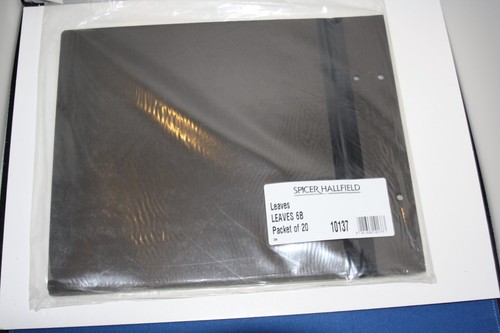 Spicer hallfield brown leaves - hallfield,