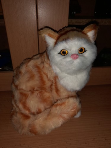Realistic fake taxidermy - realistic, cat