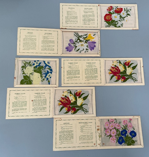 Large kensitas flowers - 6,