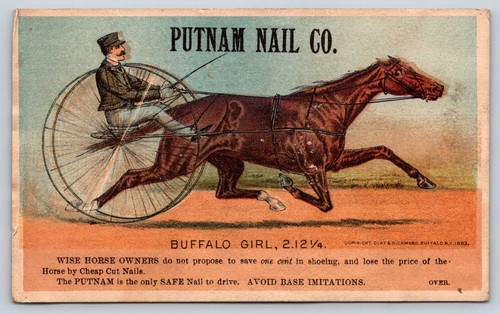 1881 putnam nail harness - nail, co.