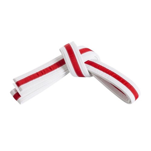 Martial arts belt - martial,