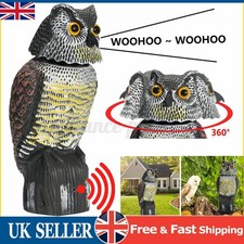 Realistic owl decoy deterrent - owl,