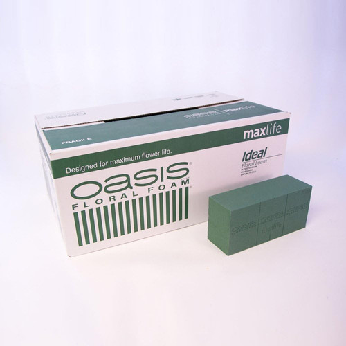 Oasis ideal max life wet - ideal,