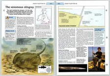 Venomous Stingray - Sea Know Your Fish - The Art Of Fishing Page