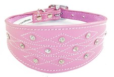 Pink Leather Whippet Dog