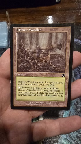 Hickory woodlot mercadian - hickory,