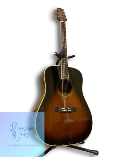 Takamine 600 acoustic - takamine, ts-600
