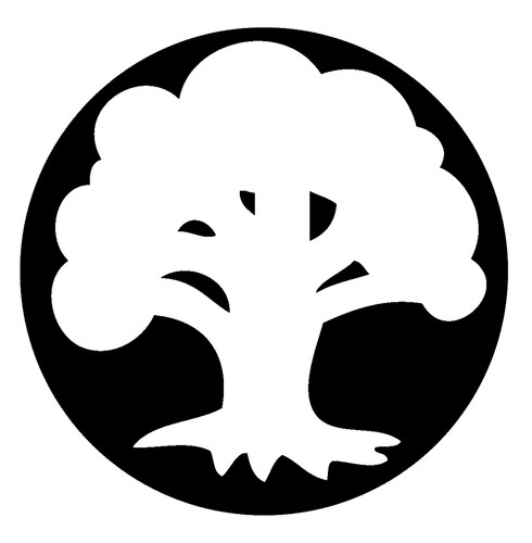 Vinyl decal sticker - decal, car