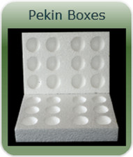 Hole pekin - 5,