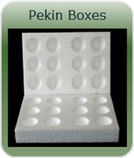 5 X 12 HOLE PEKIN  POLYSTYRENE EGG BOXES HATCHING/INCUBATION CHICKEN