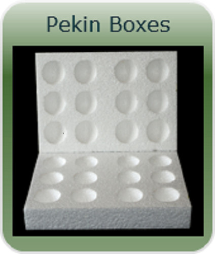 Hole pekin - 10,