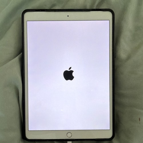 Apple ipad pro 5in - apple, 10.5in